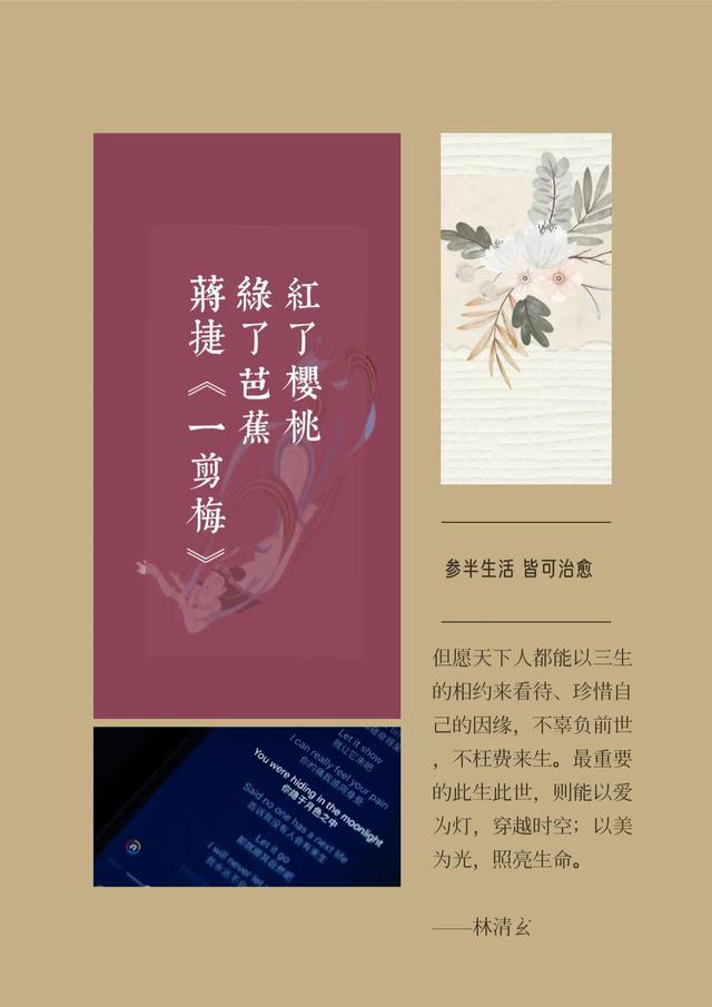 以一朵花的姿态邀约春天回归