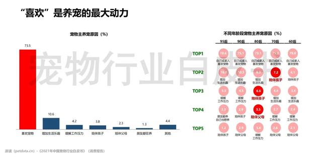 中国宠物