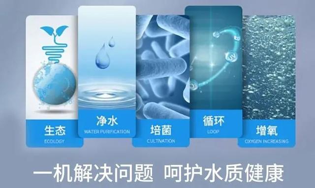 锦鲤过滤机