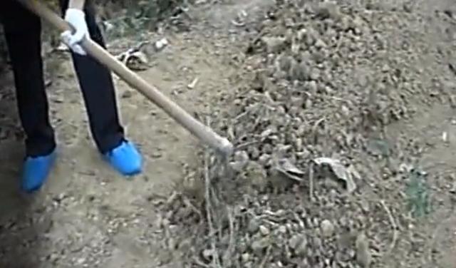 2010年，老人将好友“活埋”称做好事，警方：是在帮忙，但很愚昧