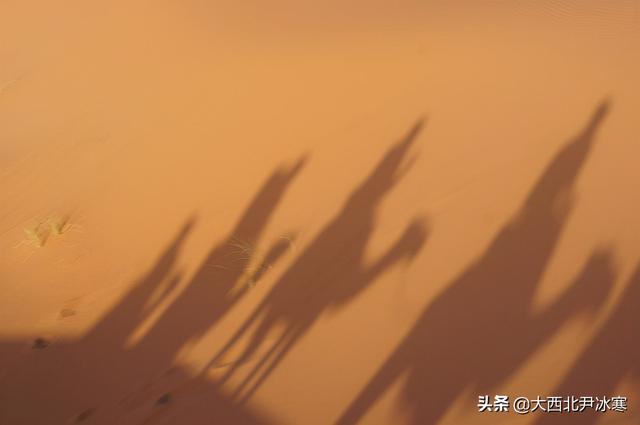 跟著三毛的足迹一起走進撒哈拉沙漠（圖）