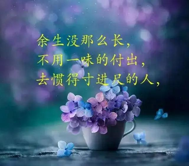 经典的人生感悟心灵鸡汤语录，朋友圈触动人心的句子
