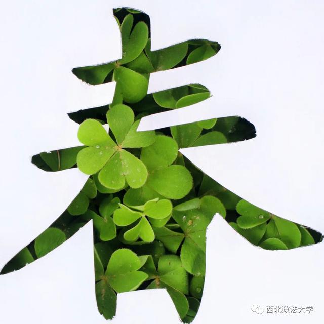 什么？在西法大，spring还有这个意思!
