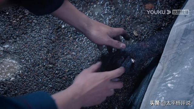 良辰好景知几何：沈宴清上线，一句话暗示了林杭景的结局