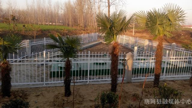 苏州精密转盘过滤机多少钱