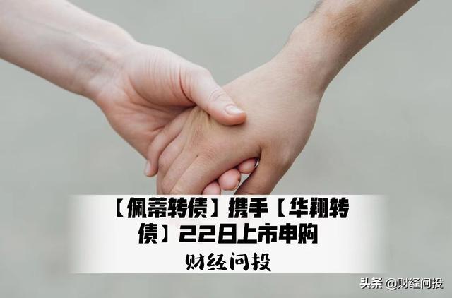 佩蒂股份 可转债「众兴转债股吧」