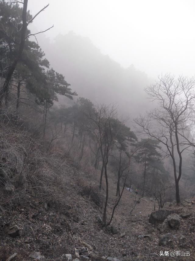 驢行泰山之黃崖山西山梁橫嶺