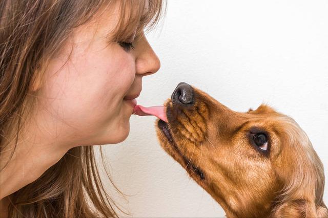 狗狗经常舔你的原因, 真的很简单