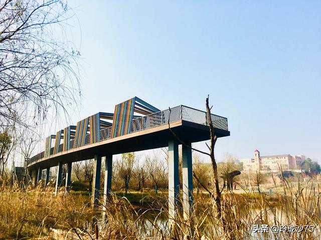 長沙唯一擁有戶外足球場的公園，更有大片水杉美景等你來