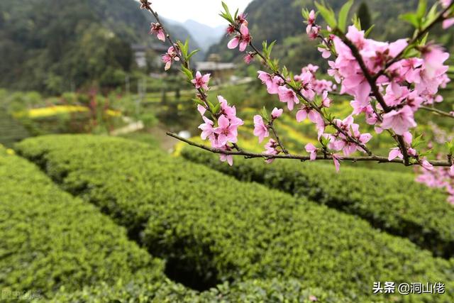 农村俗语:“清明当天三不做，子孙后代有福报”，说的是哪3件事？