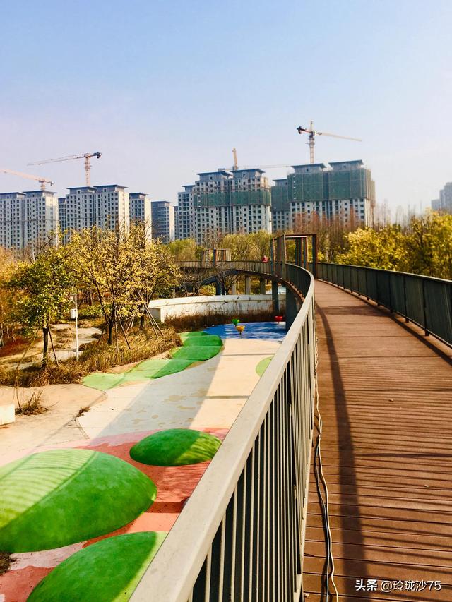 長沙唯一擁有戶外足球場的公園，更有大片水杉美景等你來
