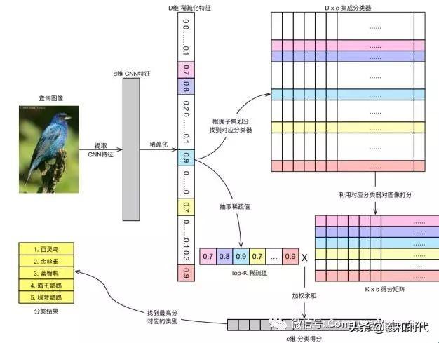 稀疏&集成的卷积神经网络学习