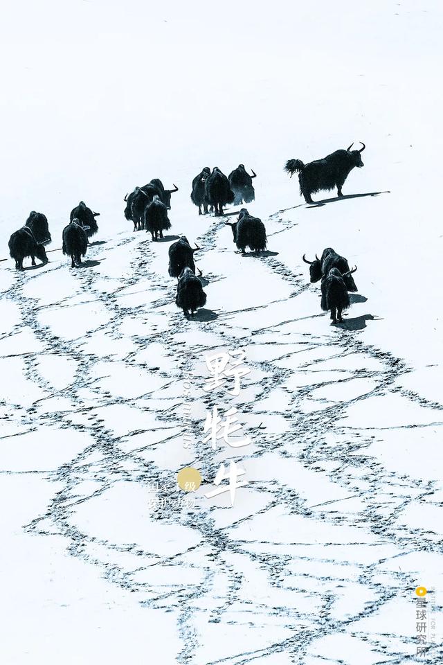 五指山破碎制砂机厂家