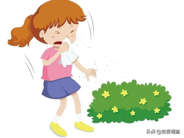 御风如屏，珍贵如玉！中医专家帮你辩证认识一下玉屏风颗粒，值得收藏