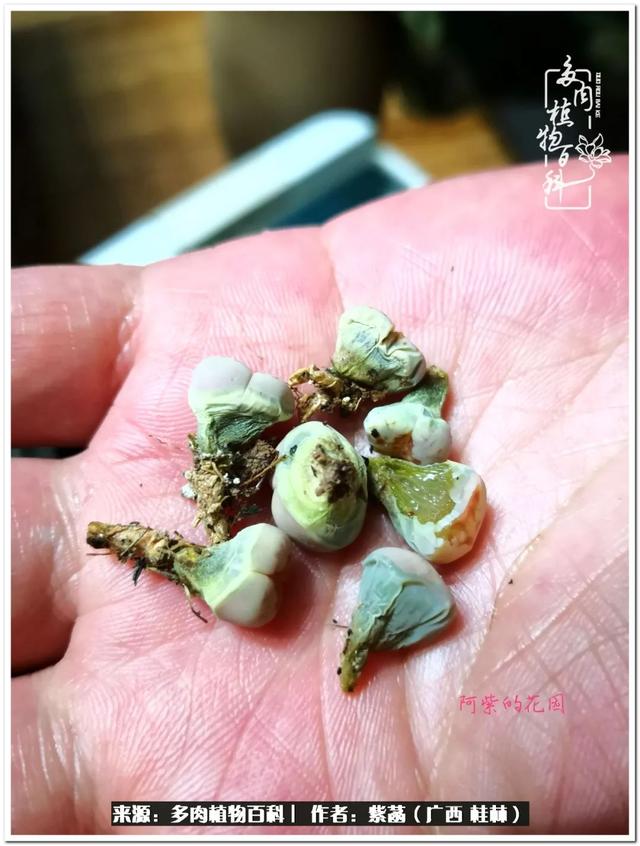 郑州新型泥土洗砂机