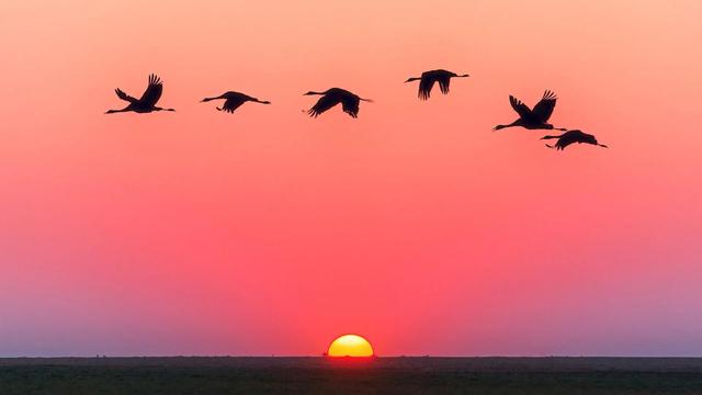 什么什么的夕阳填合适的四字词语，什么的夕阳填空词语