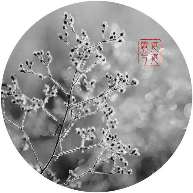 莫言：看别人的世界，品自己的人生!