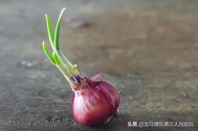 发芽的蔬菜到底还能不能吃？详尽解答来了！