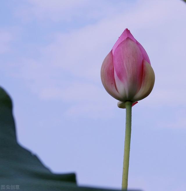 现在年轻人结婚意识平淡晚婚不婚你认为背后原因是什么 新闻时间