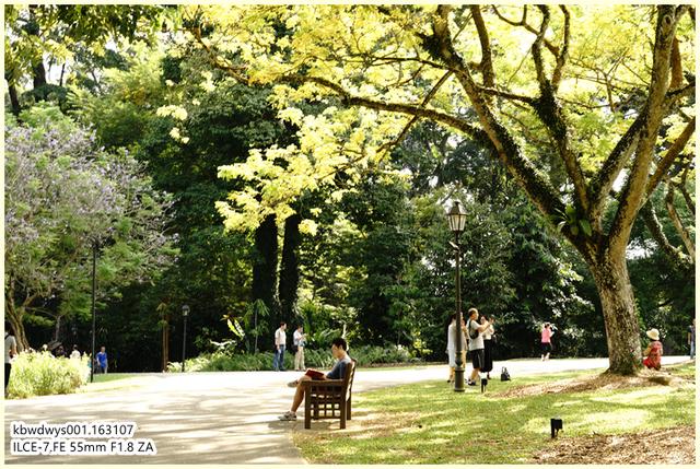 生活雜記：坡島散記08——流連忘返植物園