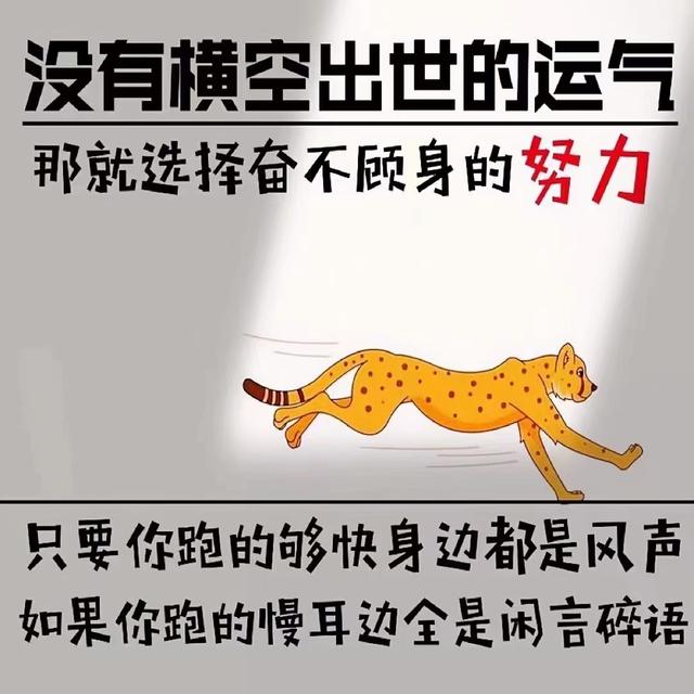 励志语录 没有横空出世的运气，那就选择奋不顾身的努力