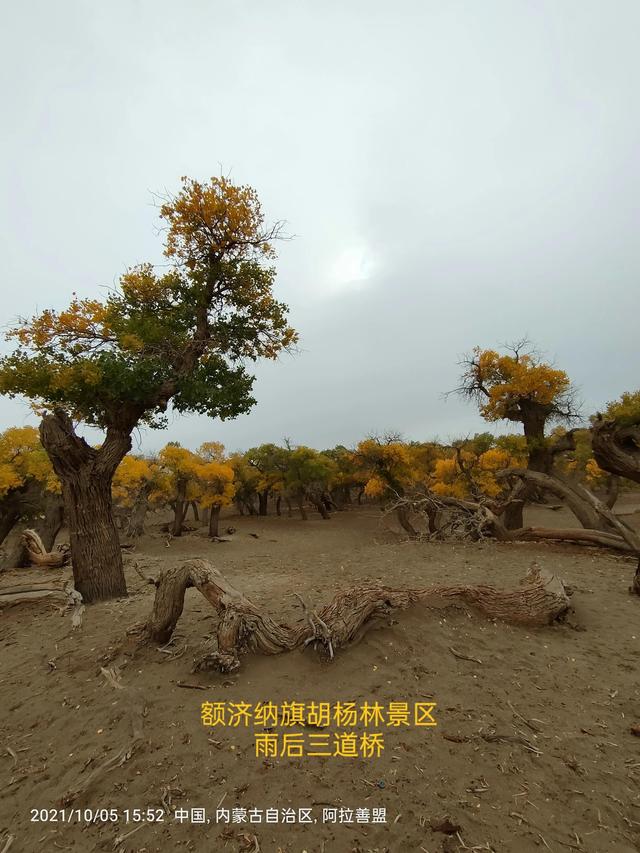 西行漫記之10月5日內蒙古篇
