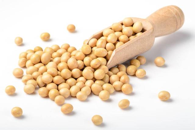 影响雌激素分泌，导致乳腺癌？女性朋友，真的要跟豆浆说再见？
