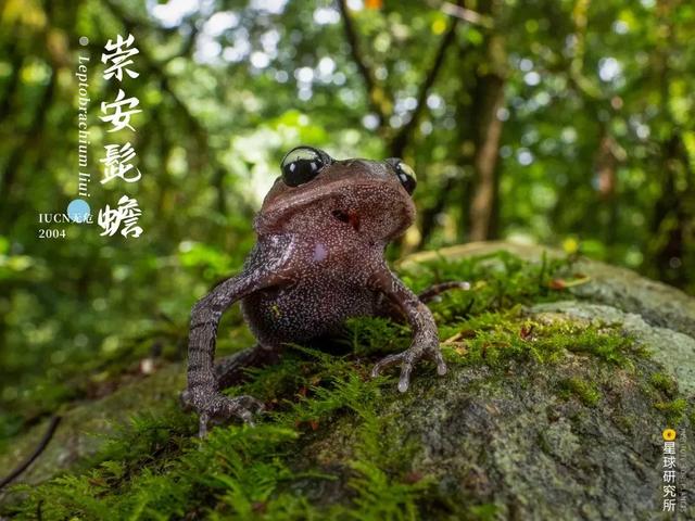 黄石洗砂机哪家便宜