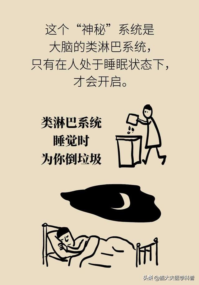 睡眠日丨睡不好的后果远比你想得更严重，你可能会变傻