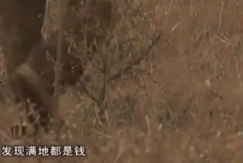 89年放牛娃山上捡大量现金，意外牵出连环血案，警方连夜全国通缉