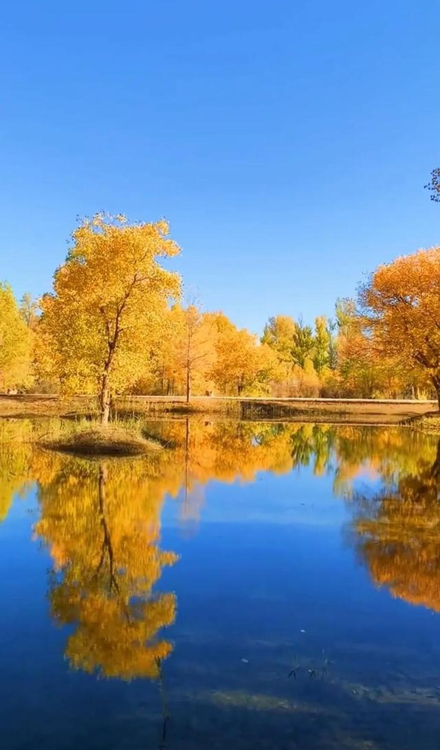 唯美壁纸 不仅景色美 倒影更美 最美手机壁纸 全网搜