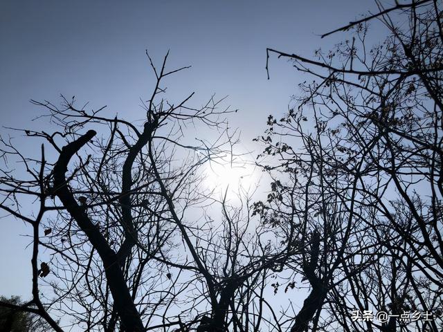 明日“天仓节”，老话说：“天仓不通，四季不宁”，什么是天仓？
