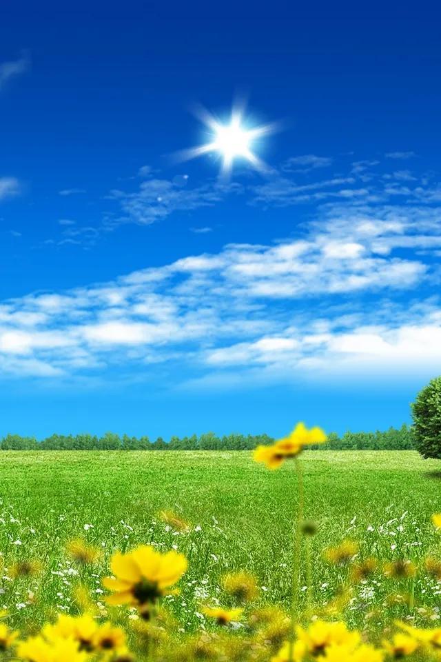 微商神起抢群聊红包-蓝天白云微信头像-站库网