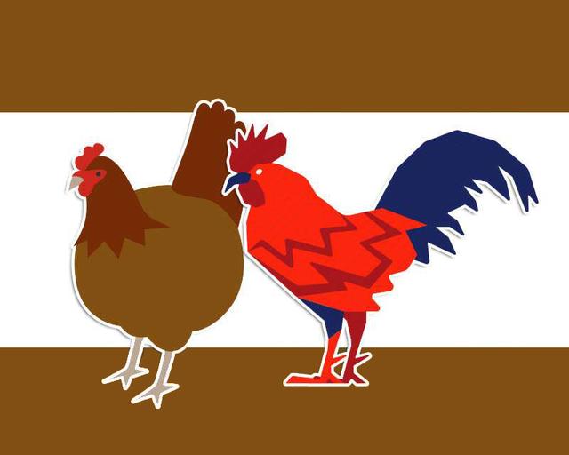 大雪来进补，明年可打虎！冬季常吃这5种，滋补气血，强身健体