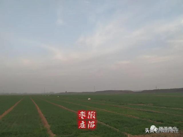 印象山東｜遊薛國故城話傳說故事