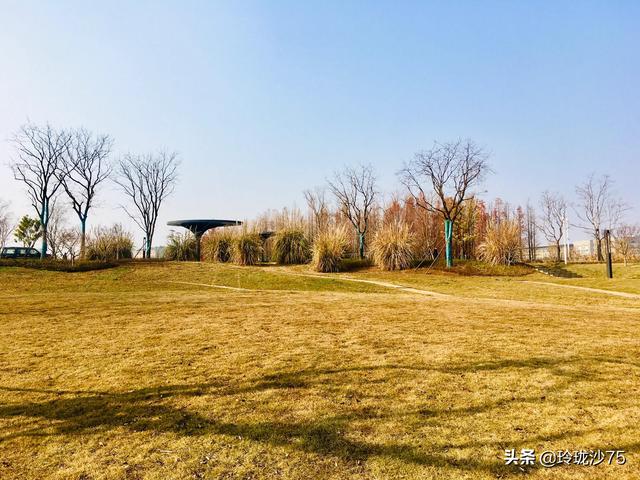 長沙唯一擁有戶外足球場的公園，更有大片水杉美景等你來