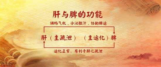 肚子响，总放屁，典型的肝郁脾虚，中医四种方法调理肝郁脾虚