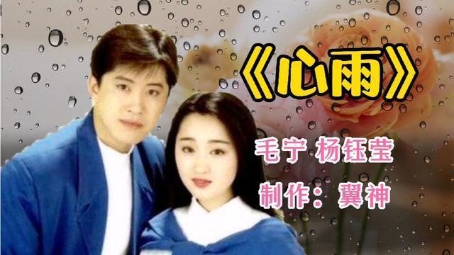 52岁毛宁商演捞金，搂富婆深情对唱，互动卖力被质疑整容