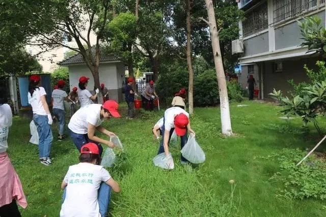 不妨让孩子管管这些“闲事”|顾全