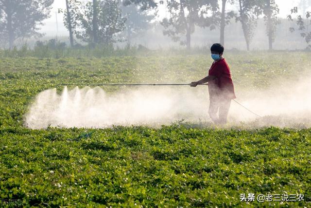 叶面肥有啥好处？怎样才能买到满意药，如何使用亩增收30%以上？3