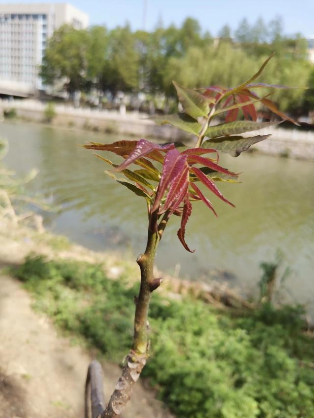 最后能做点的事