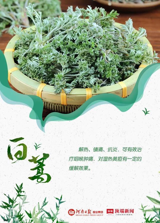 郑州野菜采摘地图出炉！香椿、荠荠菜...挖野菜全攻略，还不赶紧收藏