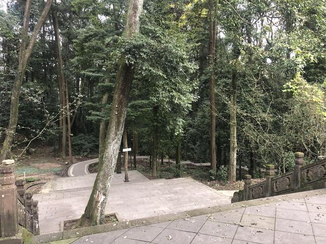 一不小心又成了夜遊~周末街子古鎮康道徒步到光嚴禅院~腳都走麻了