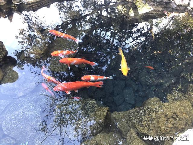 忆江南：伶人般款款而来，踏着那温润婉约的烟雨，浓墨诗行