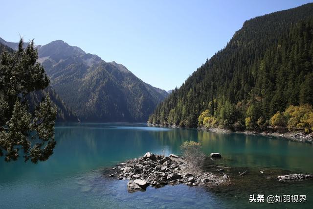 九寨溝之蘆葦海