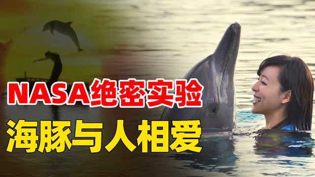 海豚训练残忍吗(海豚训练的方法残忍)