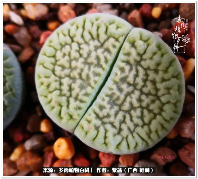 郑州新型泥土洗砂机