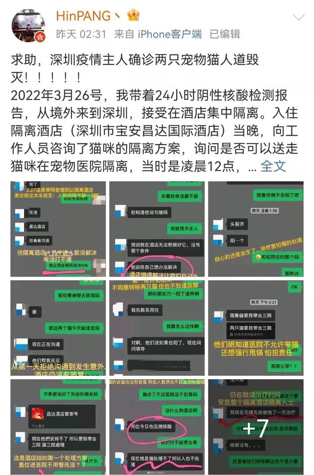 “确诊后，我的猫就要被人道销毁？”