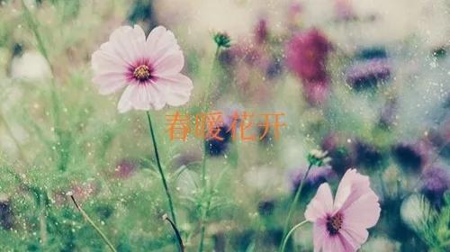 四月的考试延期至十月了，大家认为我十月还记得住吗