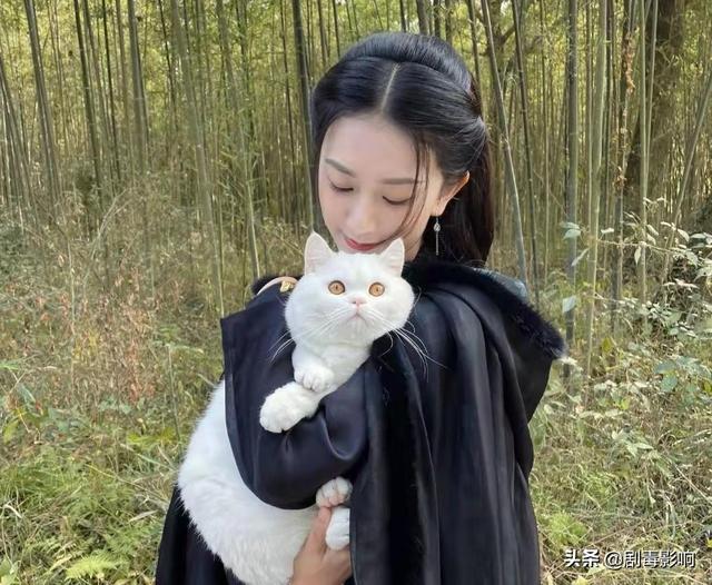 8位古装剧花魁差距大，尤物与“油物”并存，有人惊艳有人被吐槽